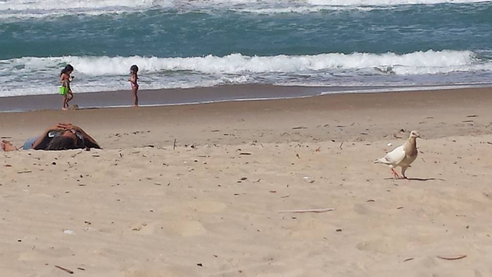 plage enfants